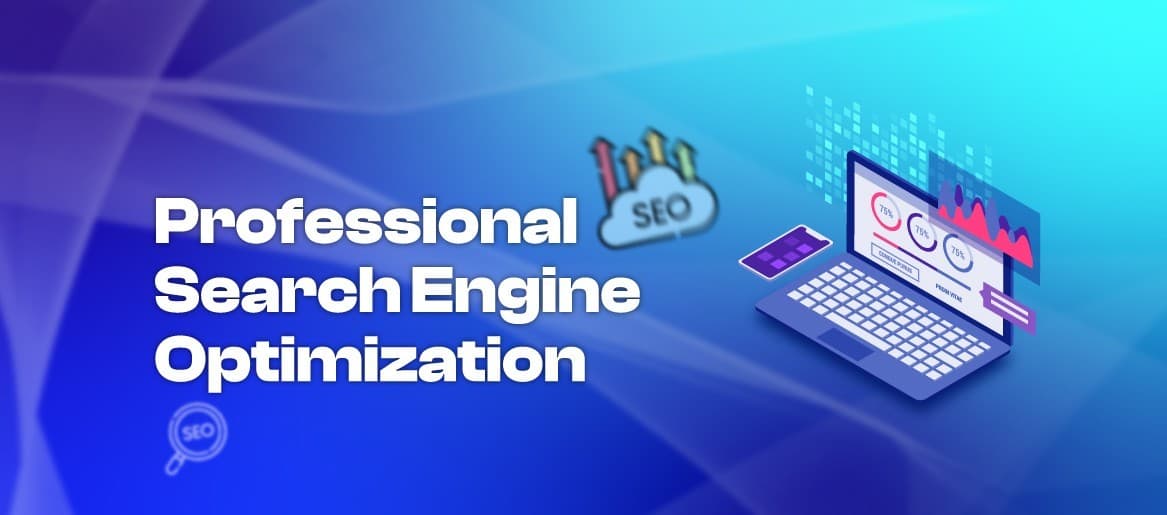Professional Search Engine Optimization